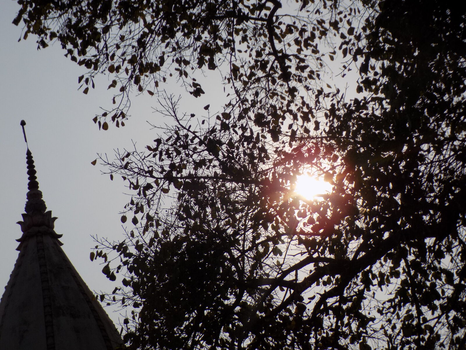Nikon COOLPIX L330 sample photo
