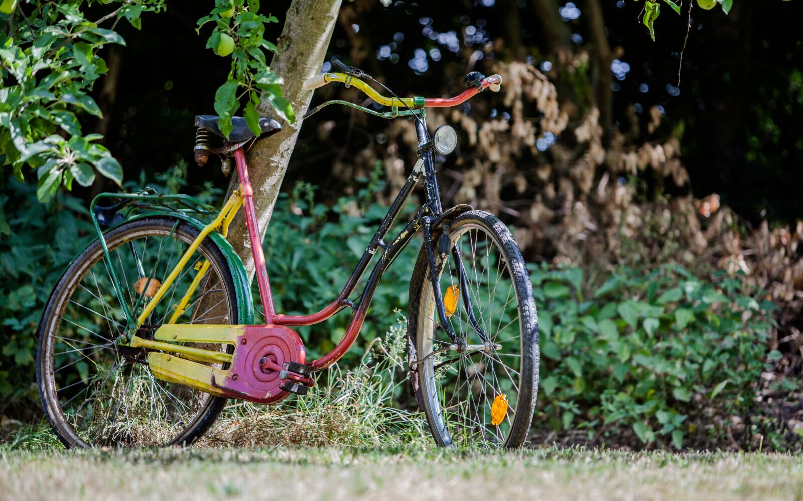 Canon EF 70-200mm F2.8L IS USM sample photo. Bike, colorful, garden photography