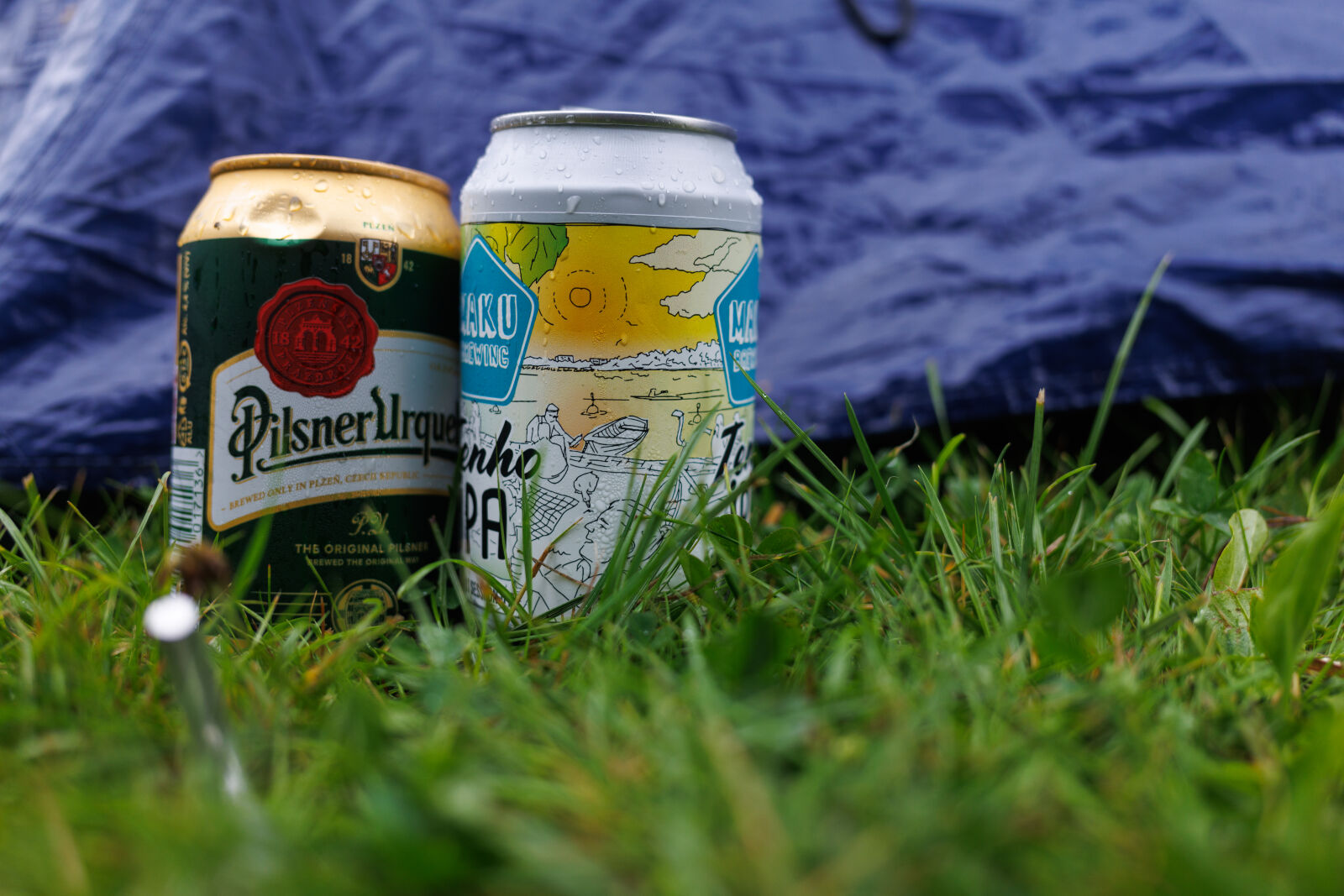 Canon RF 28-70mm F2L USM sample photo. Beer cans photography