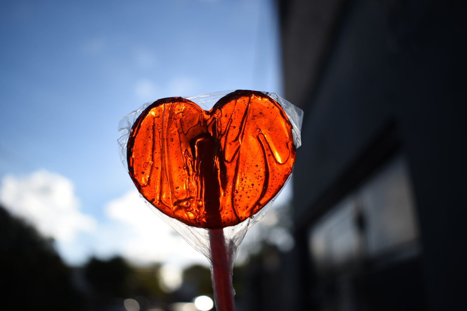 Nikon D5600 sample photo. Candy, sweets, taste photography