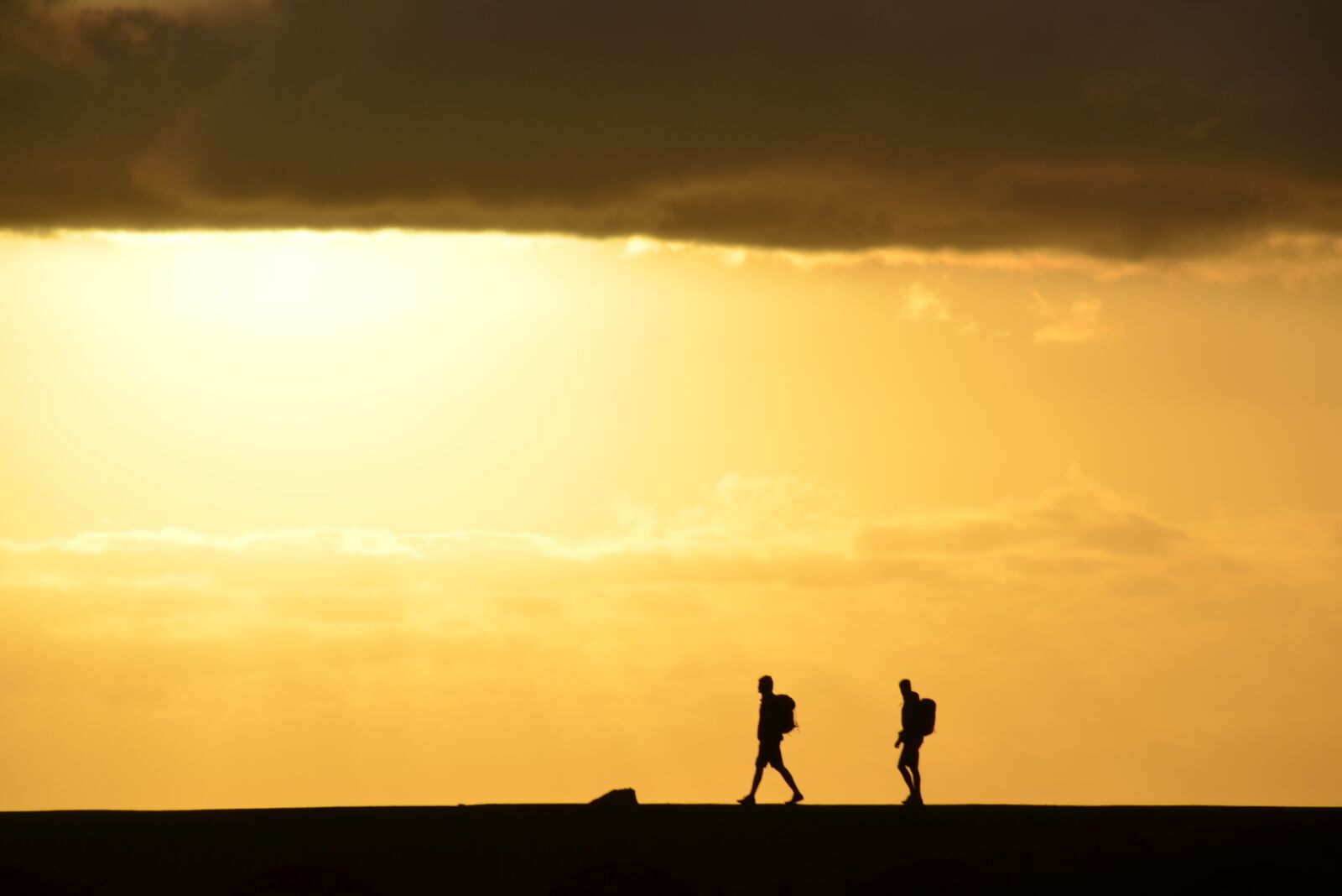 Nikon D5100 sample photo. Sunset, dawn, silhouette photography