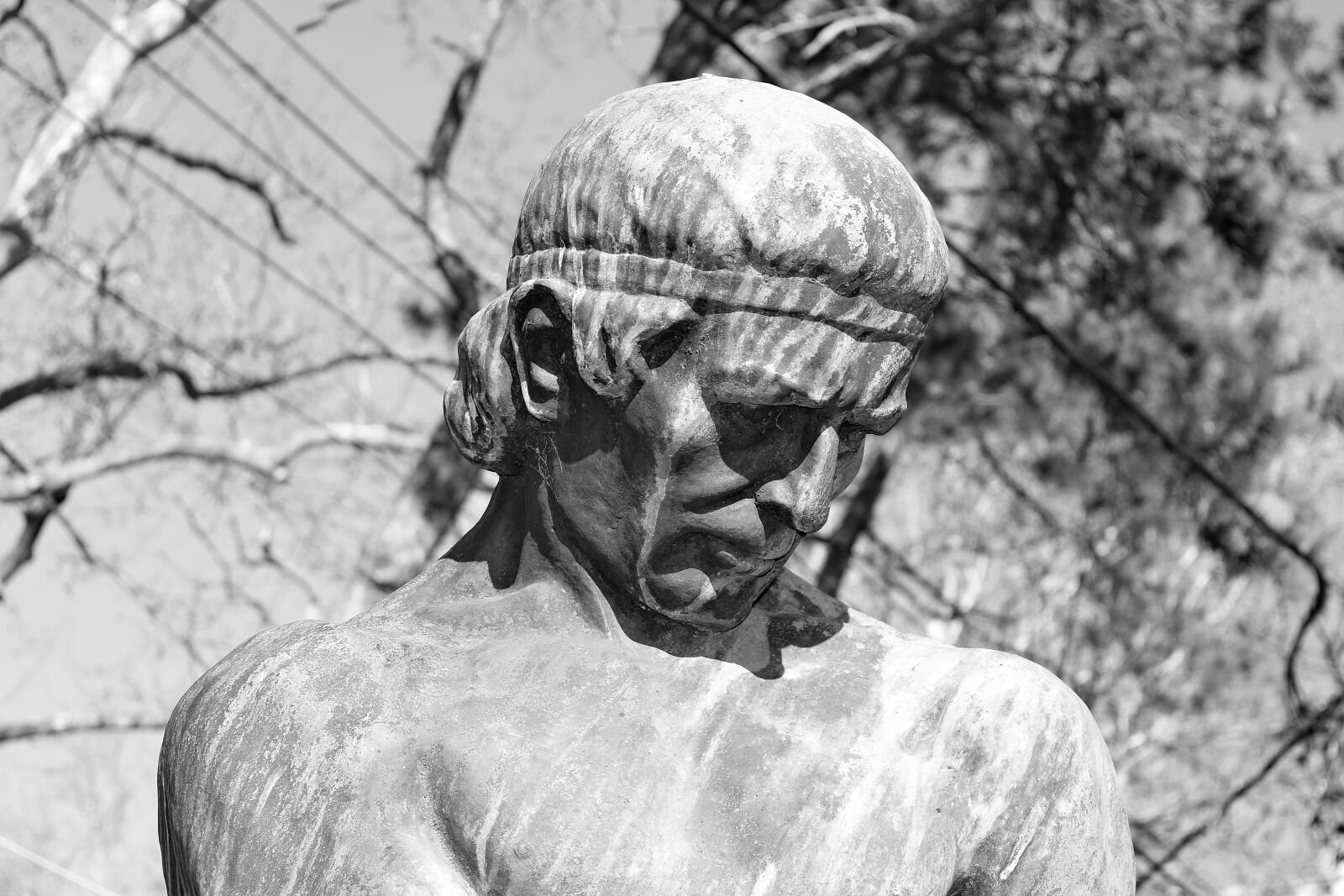 Nikon D5500 sample photo. Black and white, monochrome photography