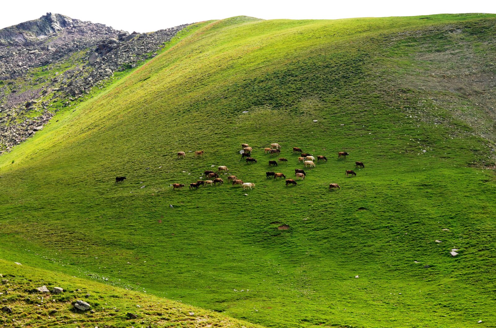 Nikon D5100 sample photo. Kaçkars, nature, landscape photography