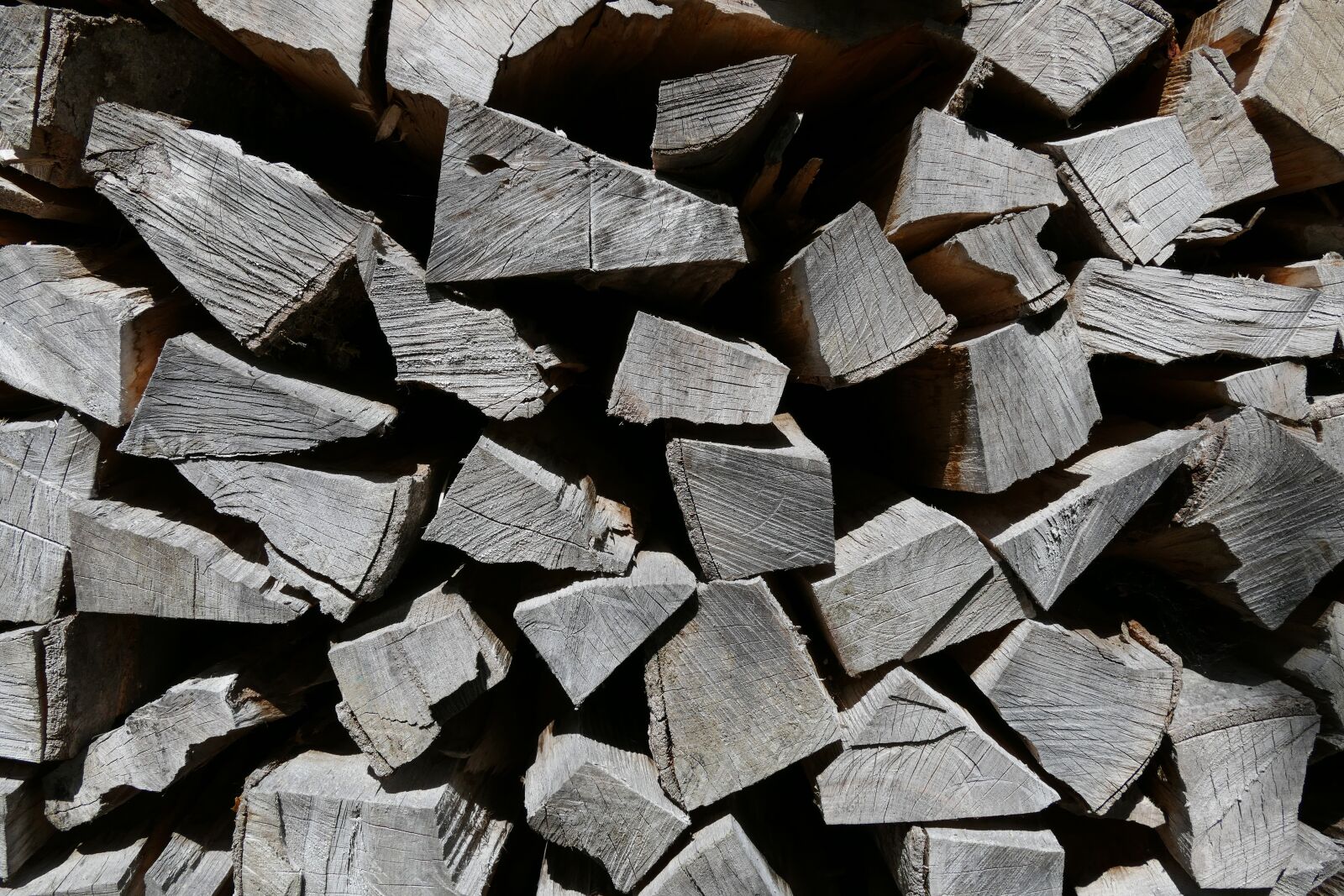 Leica V-Lux (Typ 114) sample photo. Wood, hacked, stacked up photography
