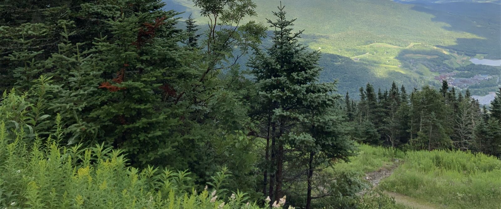 Apple iPhone SE (2nd generation) sample photo. Nh, mountain, scenery photography