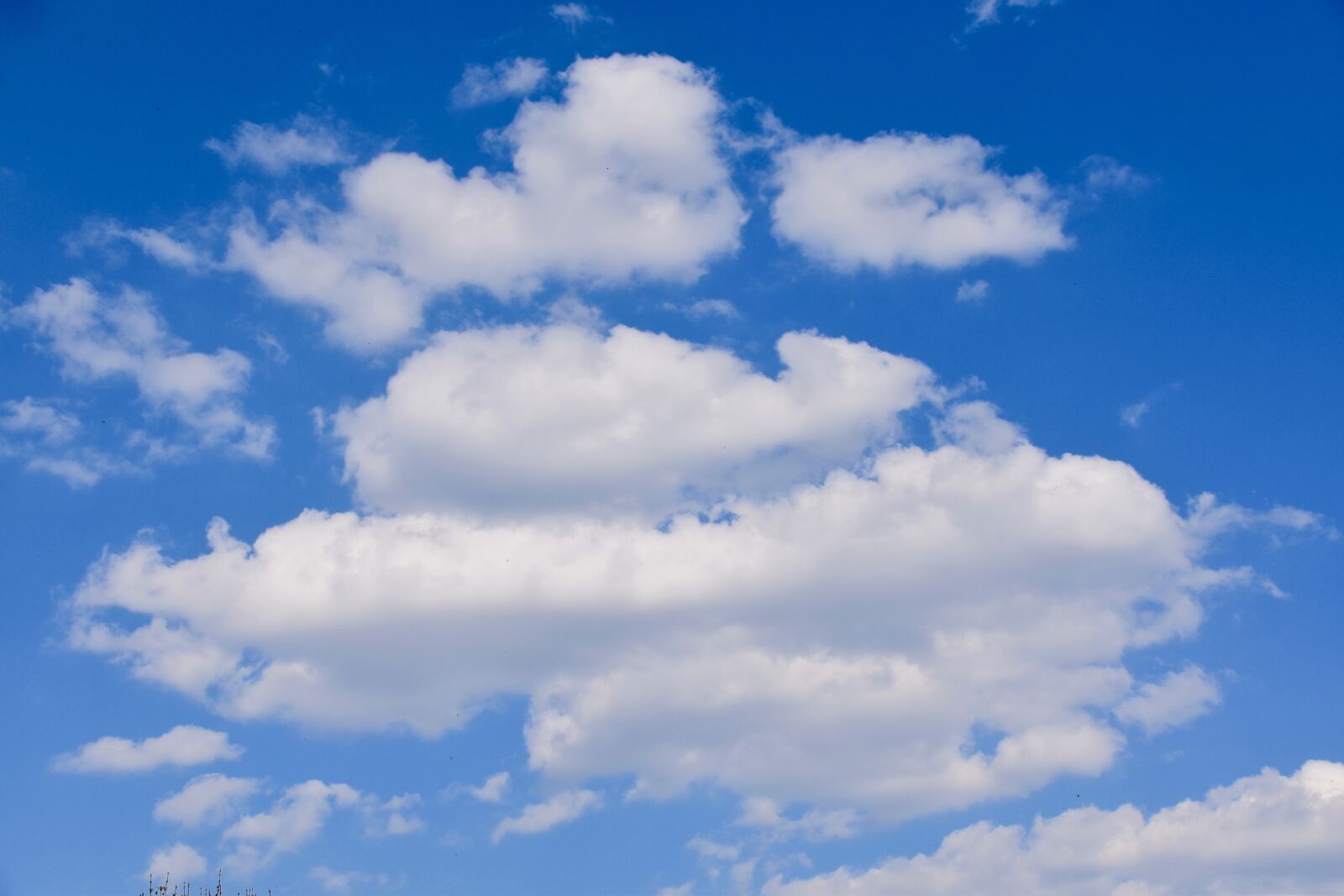 Nikon D5600 sample photo. Clouds, white clouds, cumulus photography