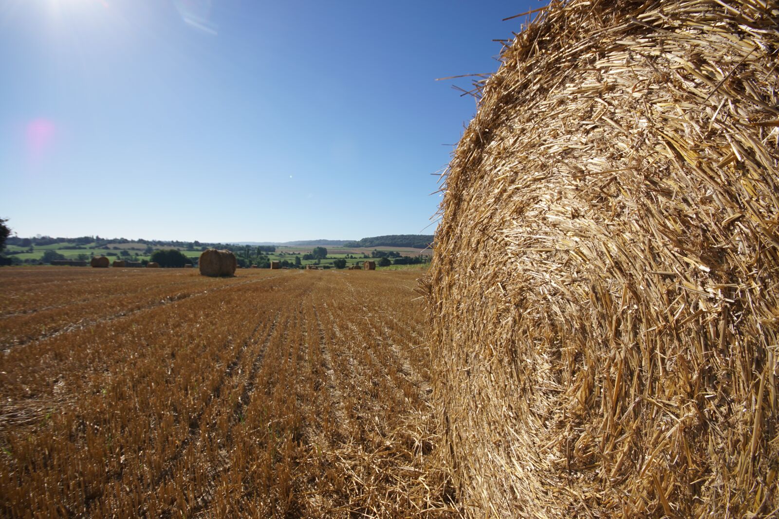 Sony ILCA-77M2 sample photo. Straw bale, roller, fields photography