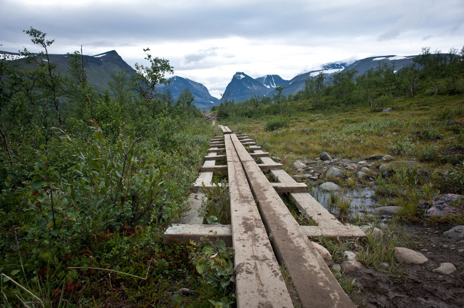 Nikon D700 sample photo. King's trail, hiking, river photography