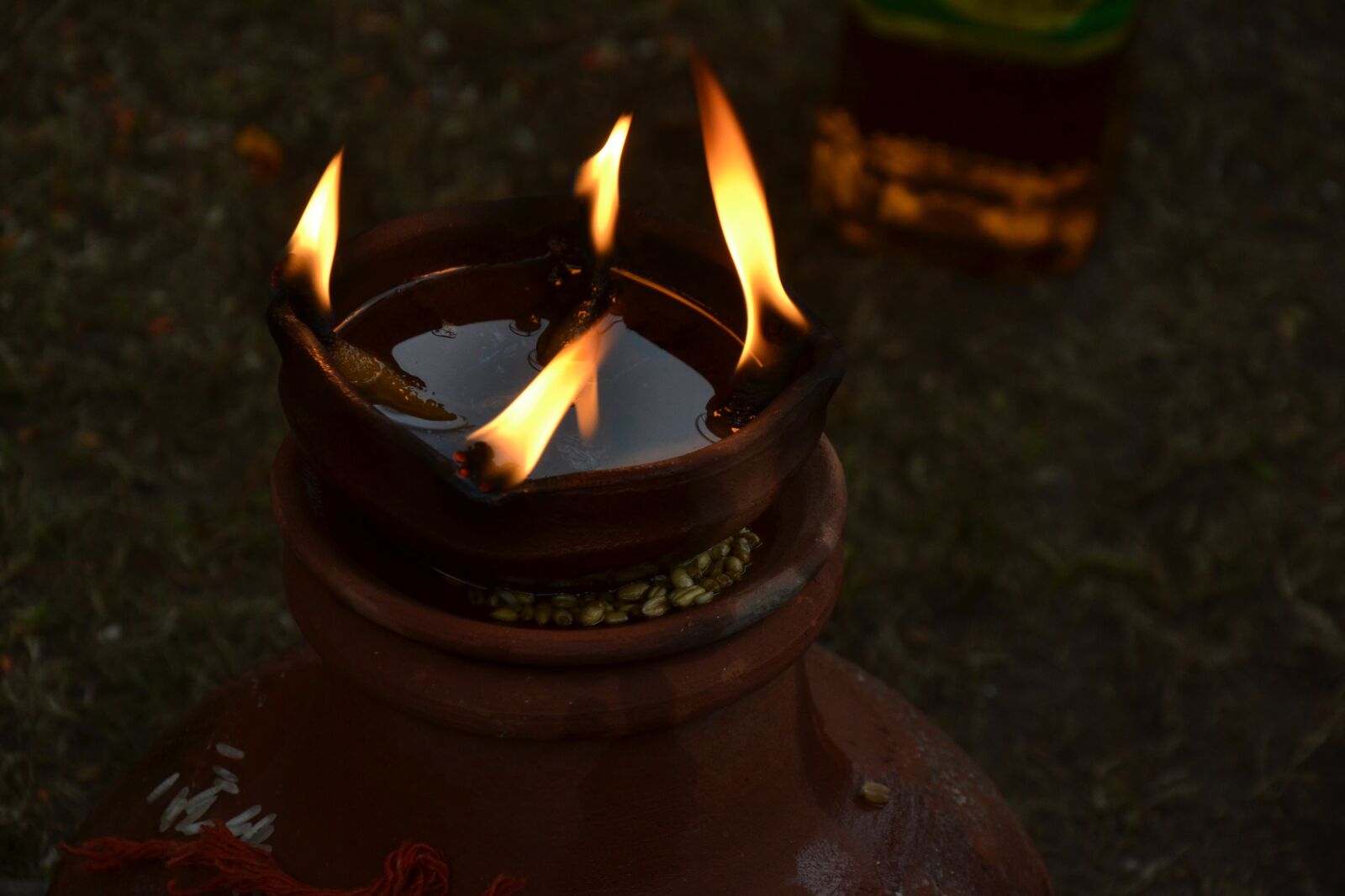 Nikon D3100 sample photo. Light, flame, fire photography