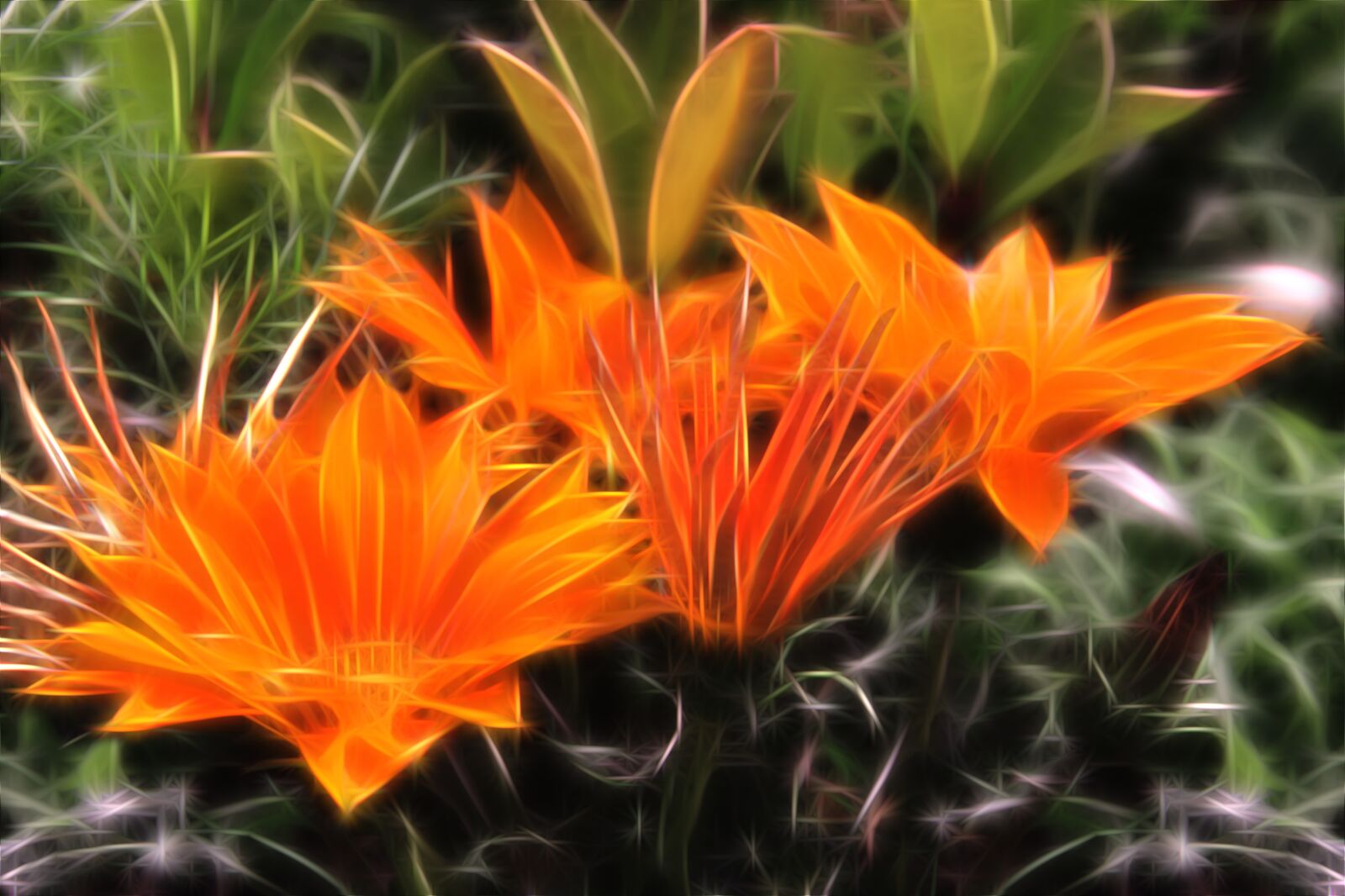 Canon EOS 60D sample photo. Flower, nature, spring photography