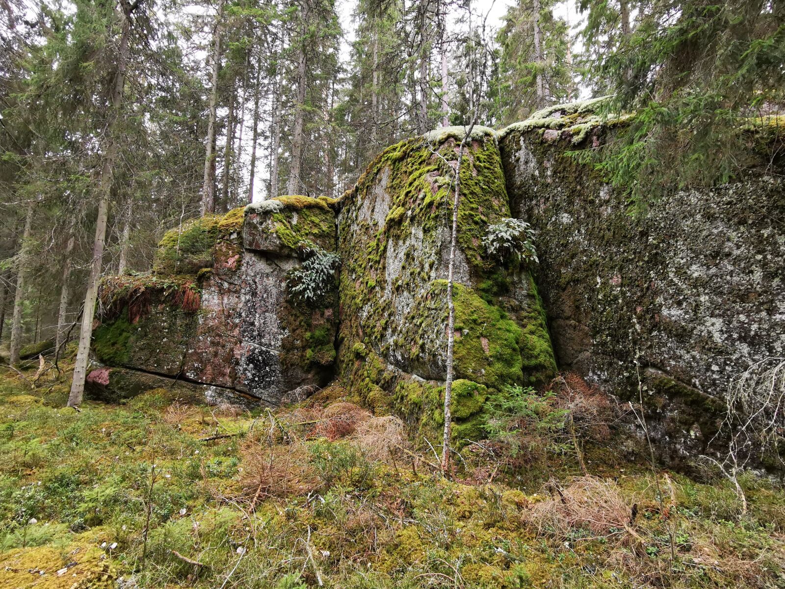 HUAWEI P30 sample photo. Wood, rocks, sweden photography