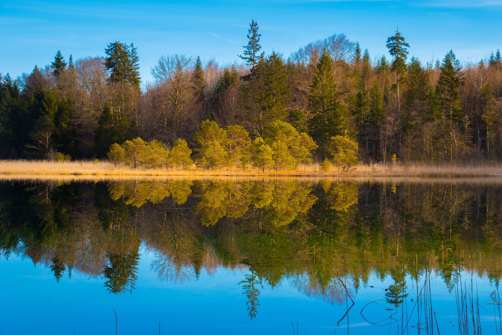 Canon EOS 7D Mark II sample photo. Lake, body of water photography