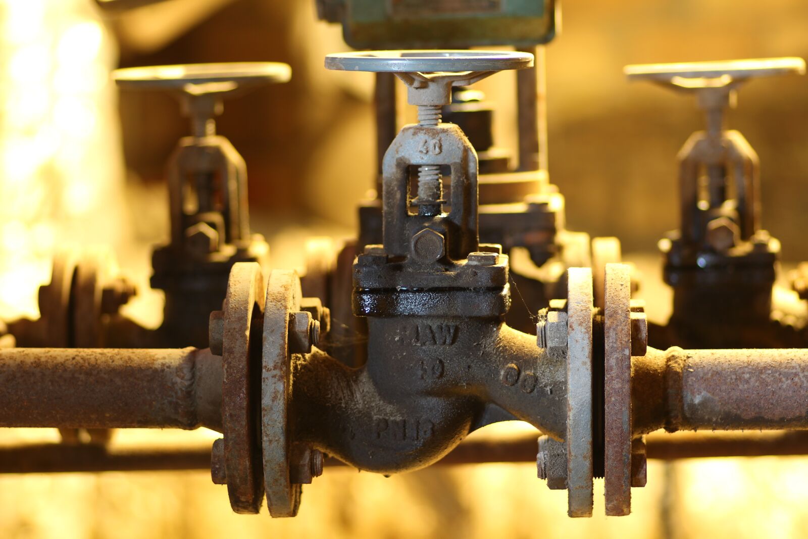 Canon EOS 100D (EOS Rebel SL1 / EOS Kiss X7) sample photo. Museum of industry, brandenburg photography