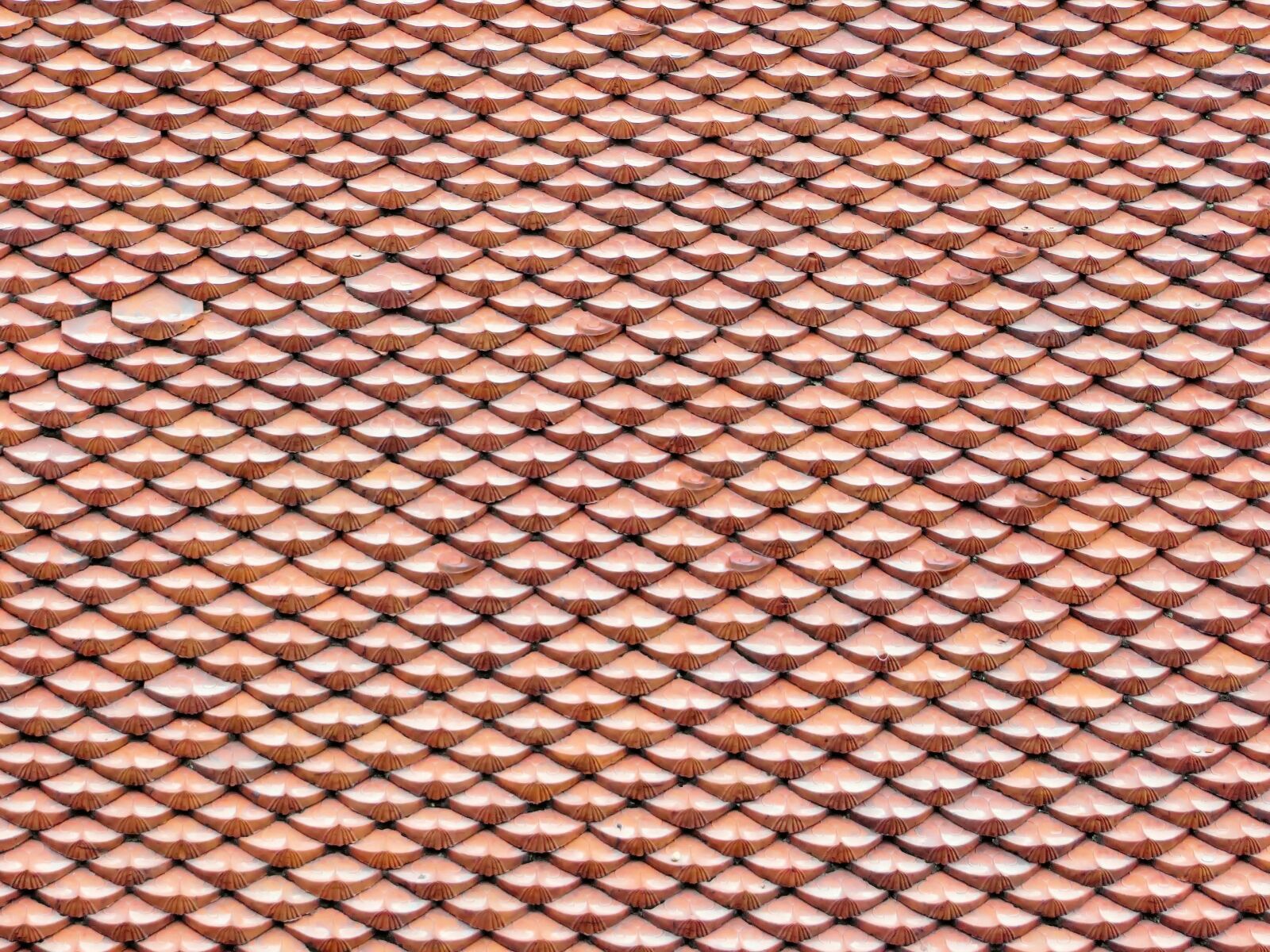 Canon PowerShot SX270 HS sample photo. Cambodia, roofing, tiles photography