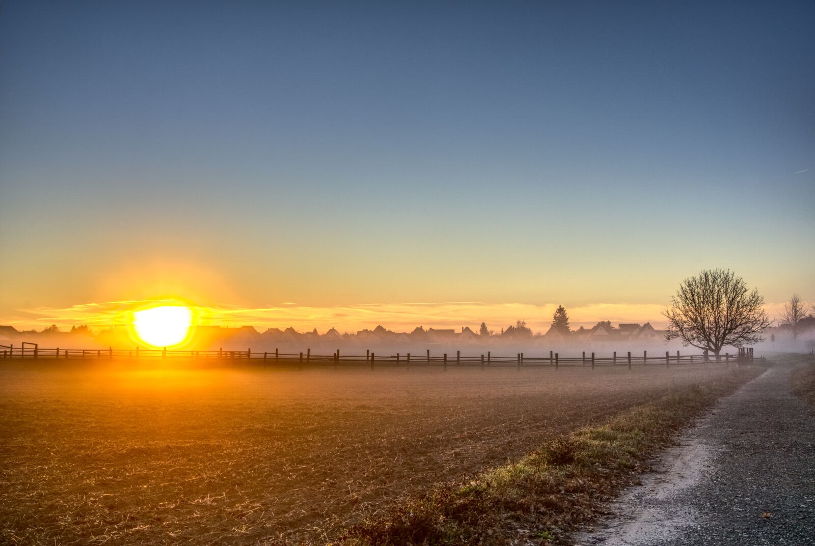 Sony a6000 sample photo. Sunrise, fog, autumn photography