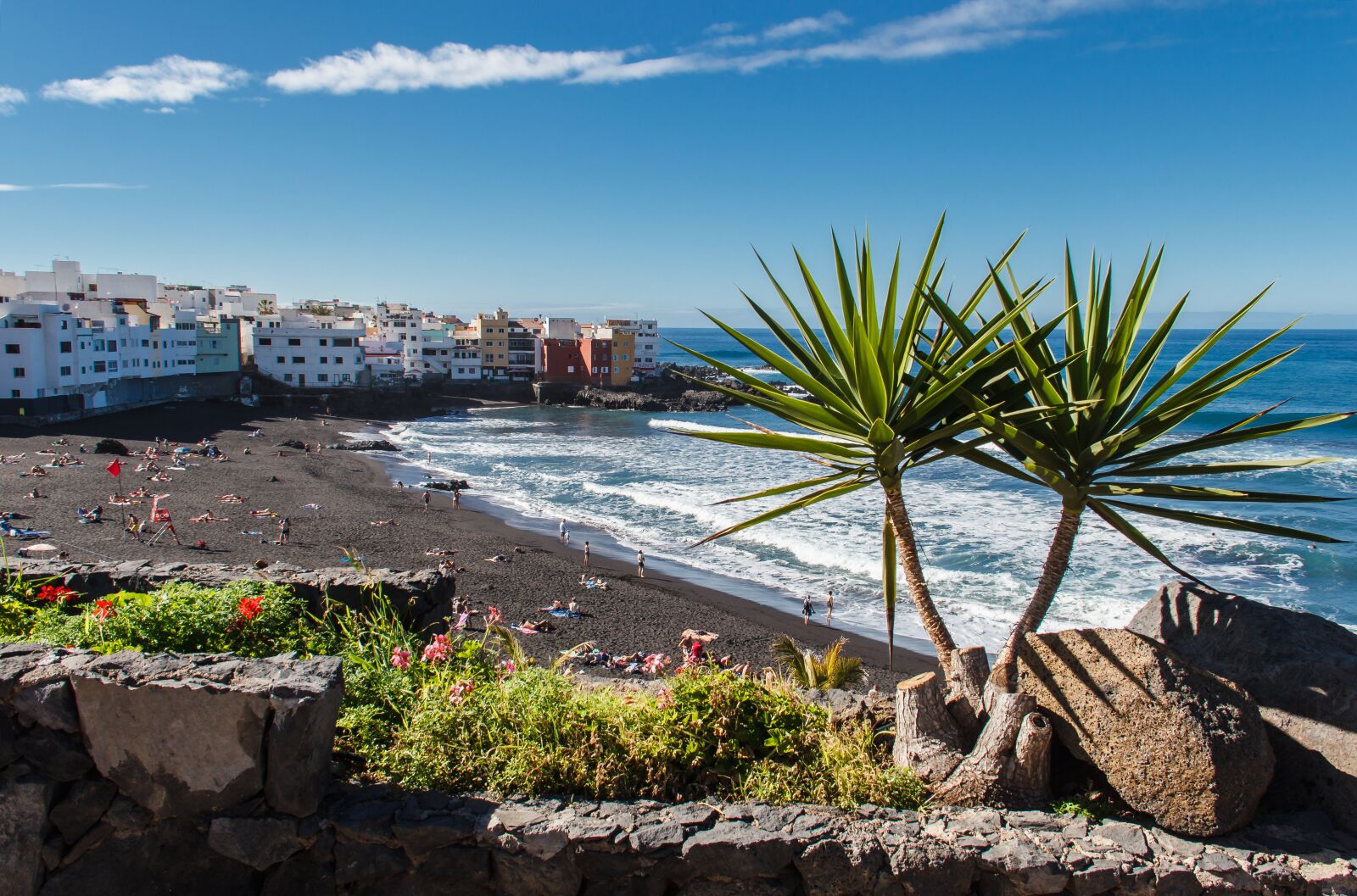 Canon EOS 550D (EOS Rebel T2i / EOS Kiss X4) sample photo. Puerto de la cruz photography