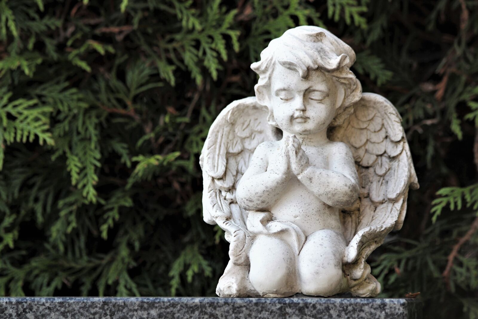 Canon EOS 600D (Rebel EOS T3i / EOS Kiss X5) sample photo. White angel, praying, statue photography