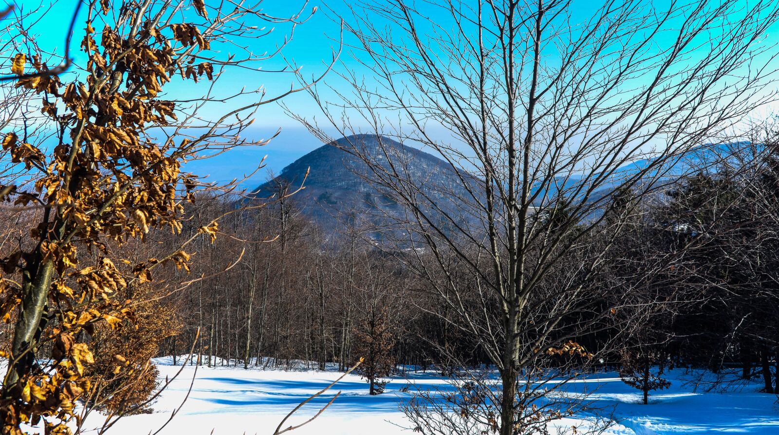 Nikon D5300 sample photo. Mountain, forest, snow photography