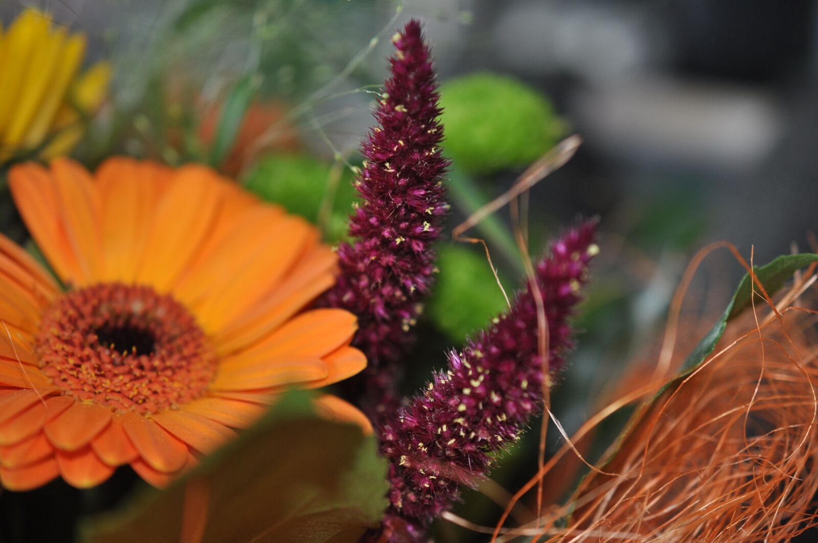 Nikon D90 sample photo. Bouquet of flowers, nature photography