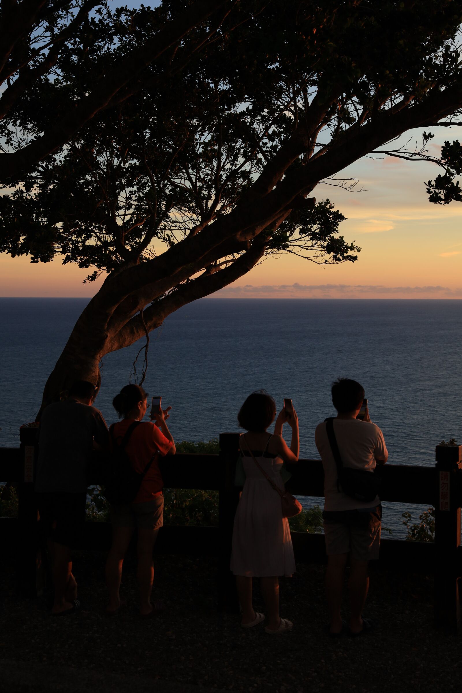 Canon EOS RP sample photo. Tree, people, ocean photography