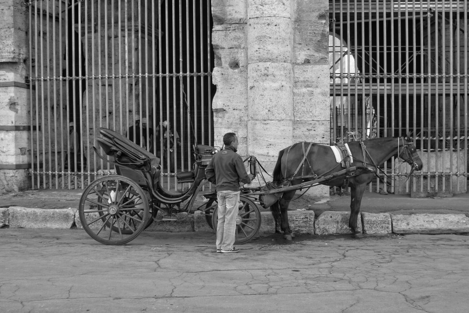Canon EOS 400D (EOS Digital Rebel XTi / EOS Kiss Digital X) sample photo. Italy, rome, horse photography
