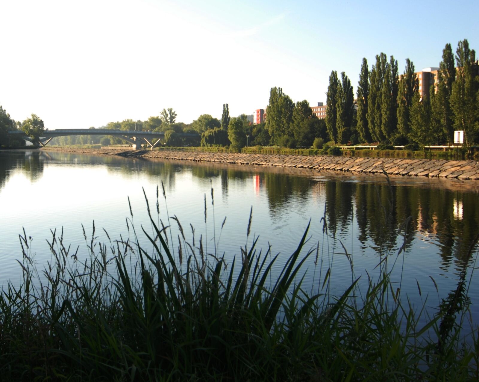 Nikon D200 sample photo. River, water, grass photography