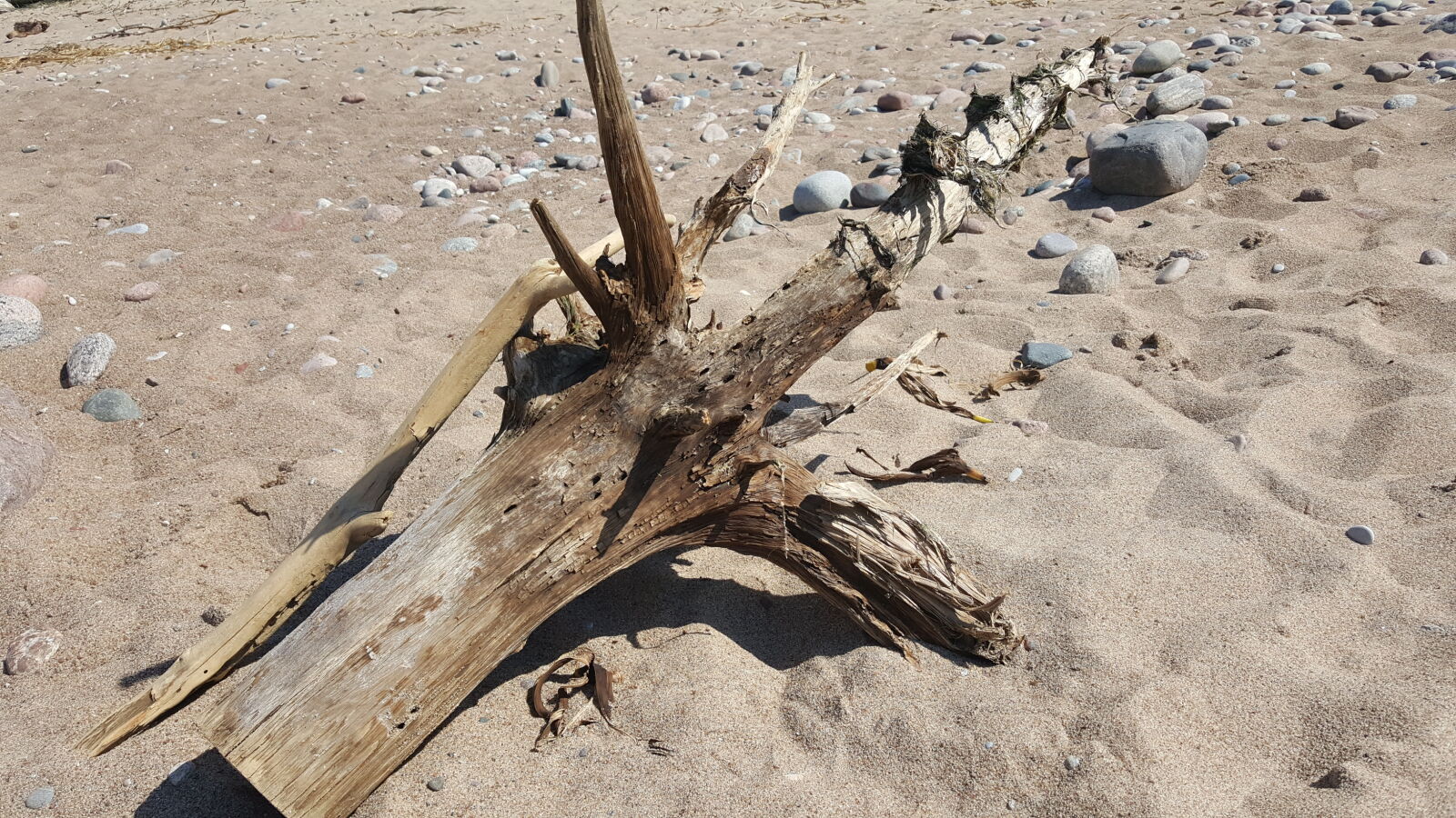 Samsung GALAXY S6 edge sample photo. Baltic, sea photography