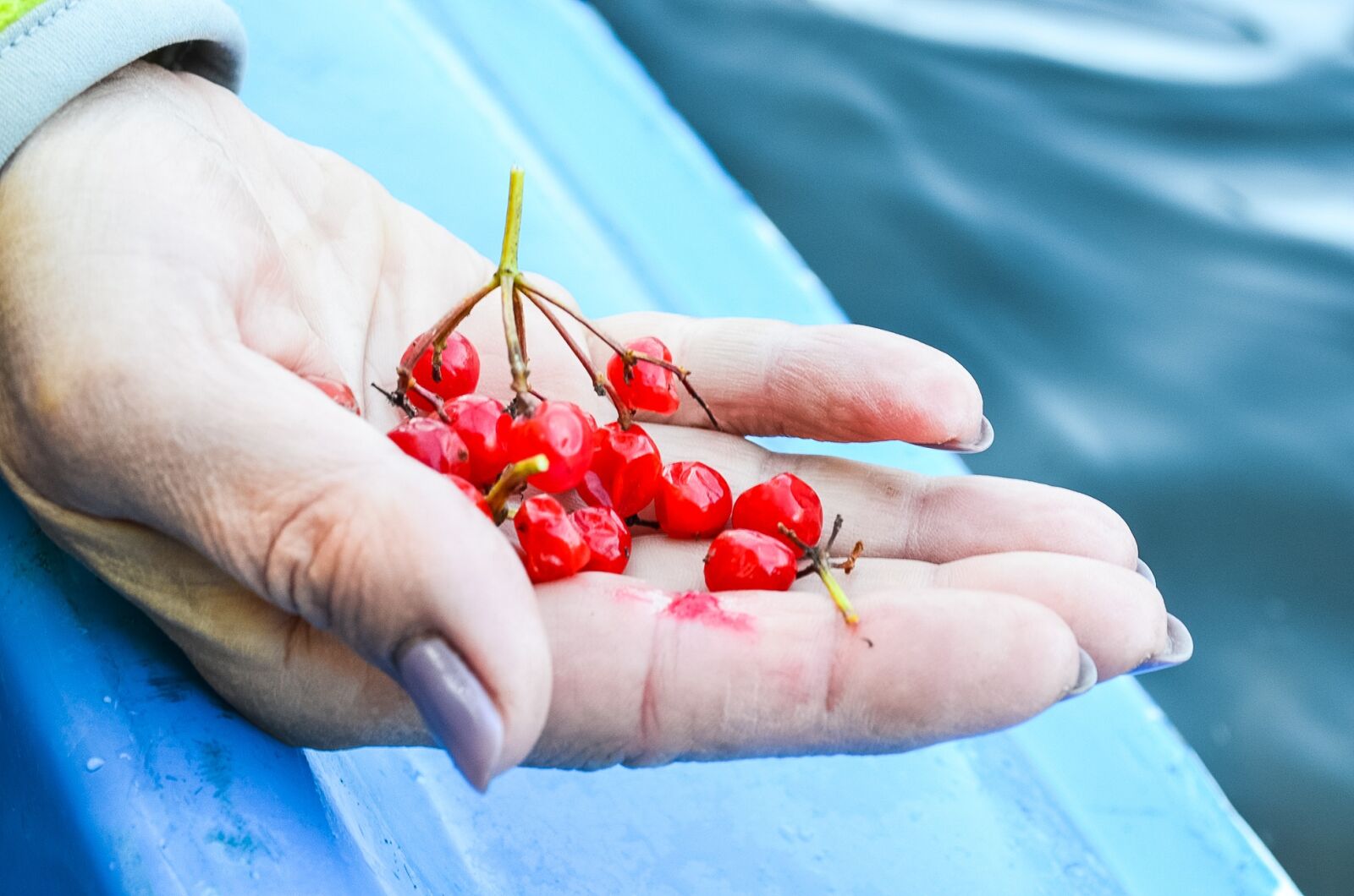 Nikon D5100 sample photo. Viburnum, hands, kayaks photography