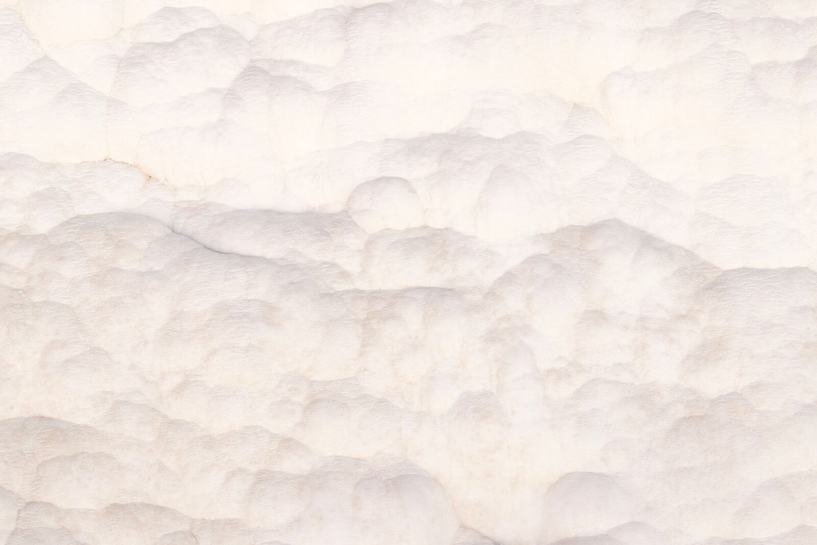 Canon EF 24-70mm F2.8L II USM sample photo. Texture, cream, white photography