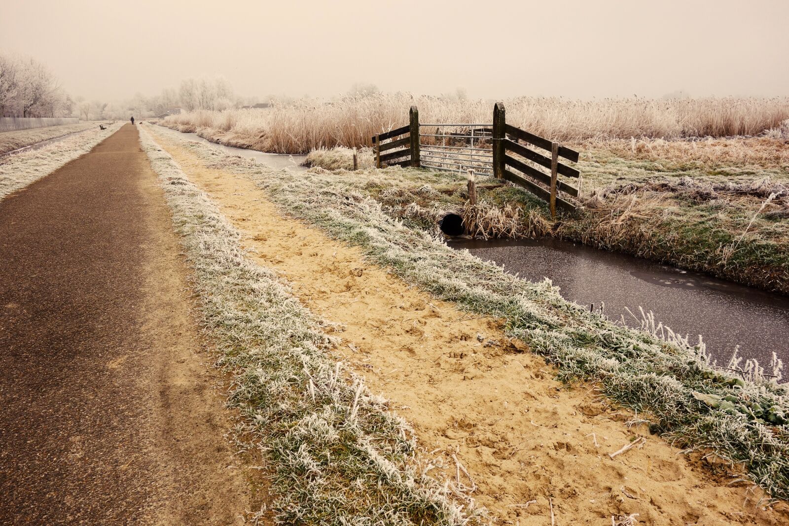 Sony Cyber-shot DSC-RX100 sample photo. Country road, road, waterway photography
