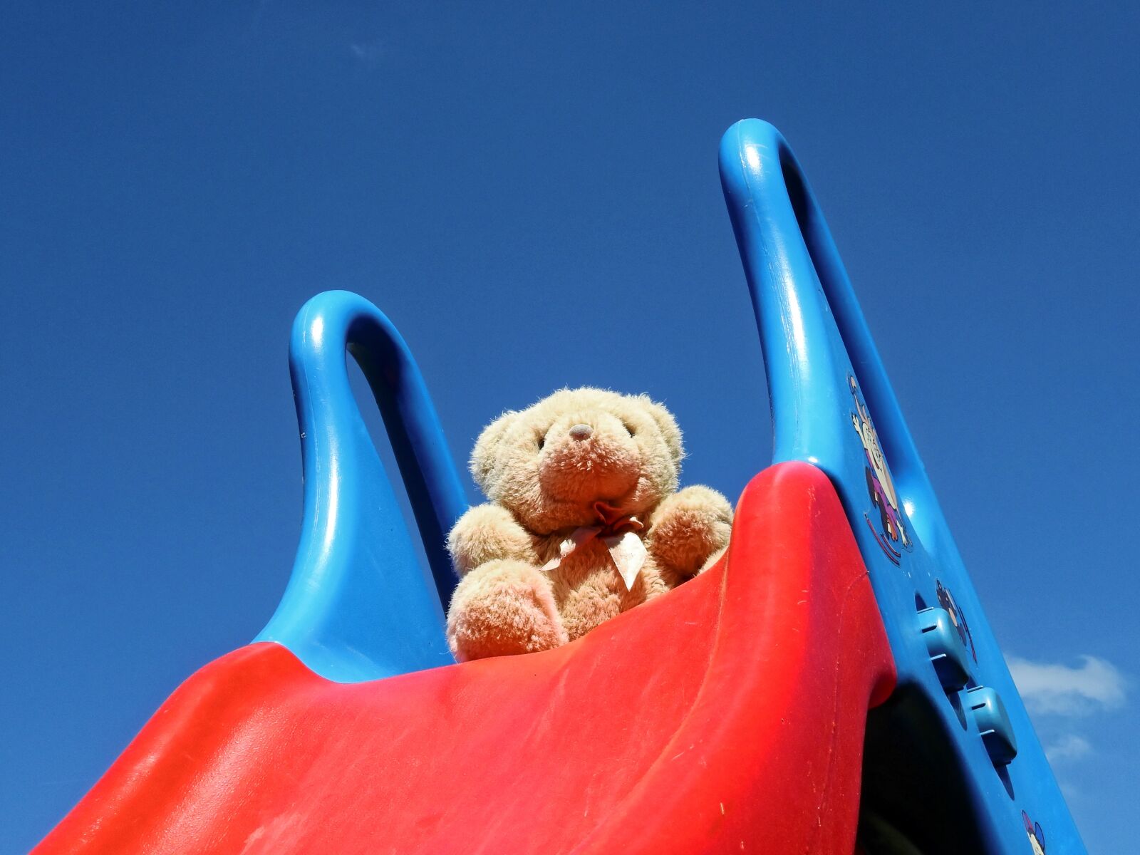 Nikon Coolpix P900 sample photo. Teddy bear, teddy, soft photography