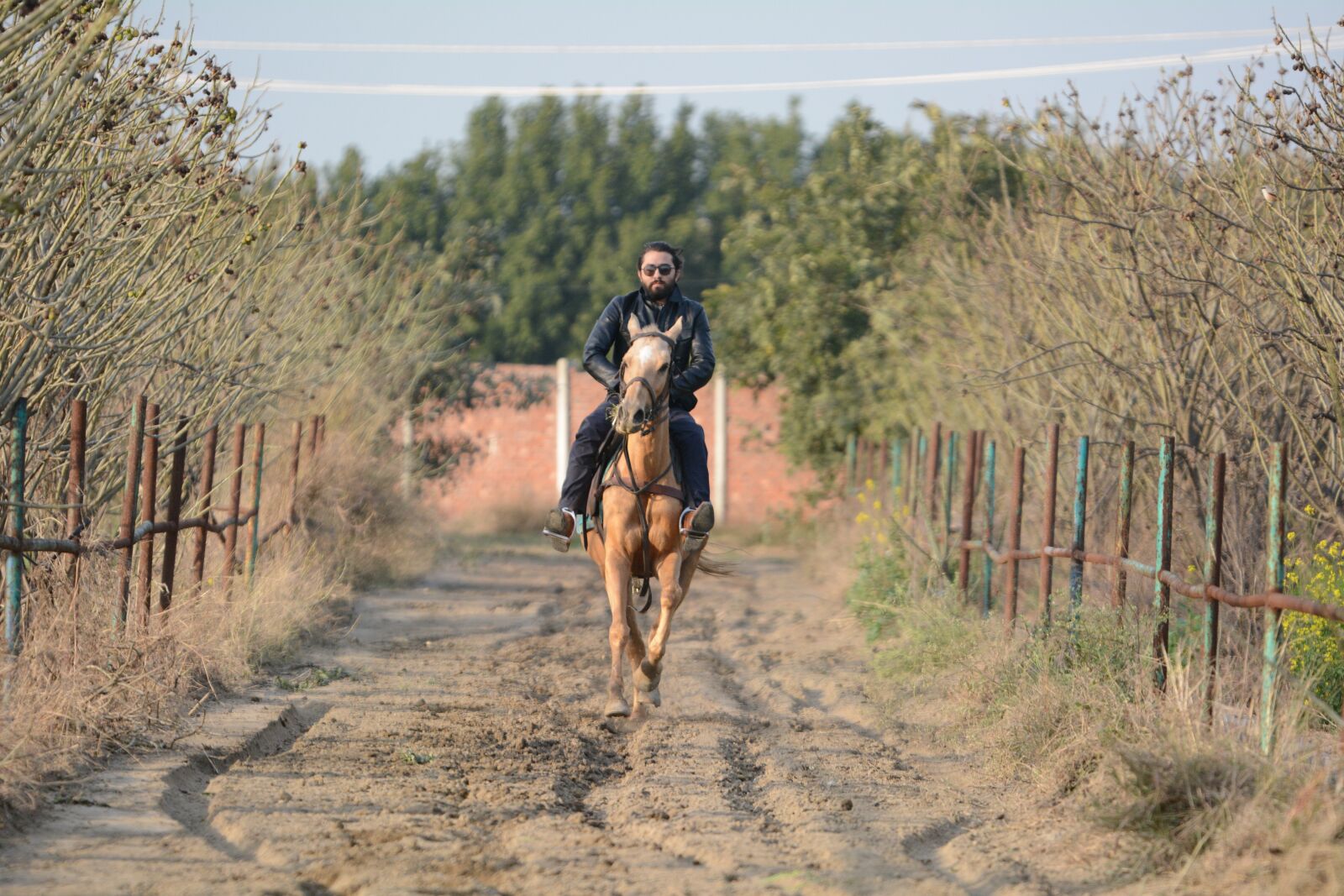 Nikon D7100 sample photo. Horse riding, horses, animal photography