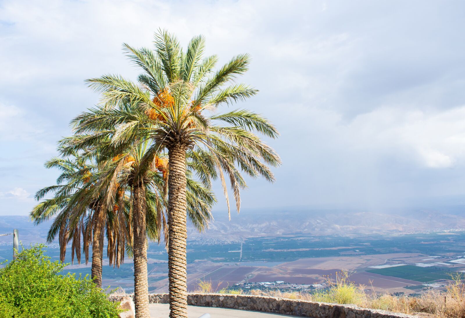 Nikon D7200 sample photo. Landscape, palm trees, israel photography