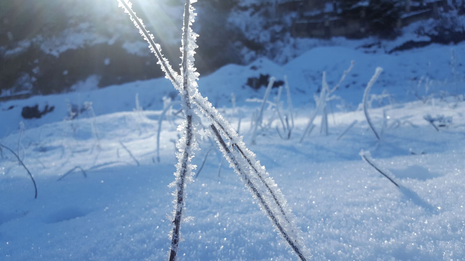 Samsung Galaxy S6 sample photo. Snow, leann, winter photography