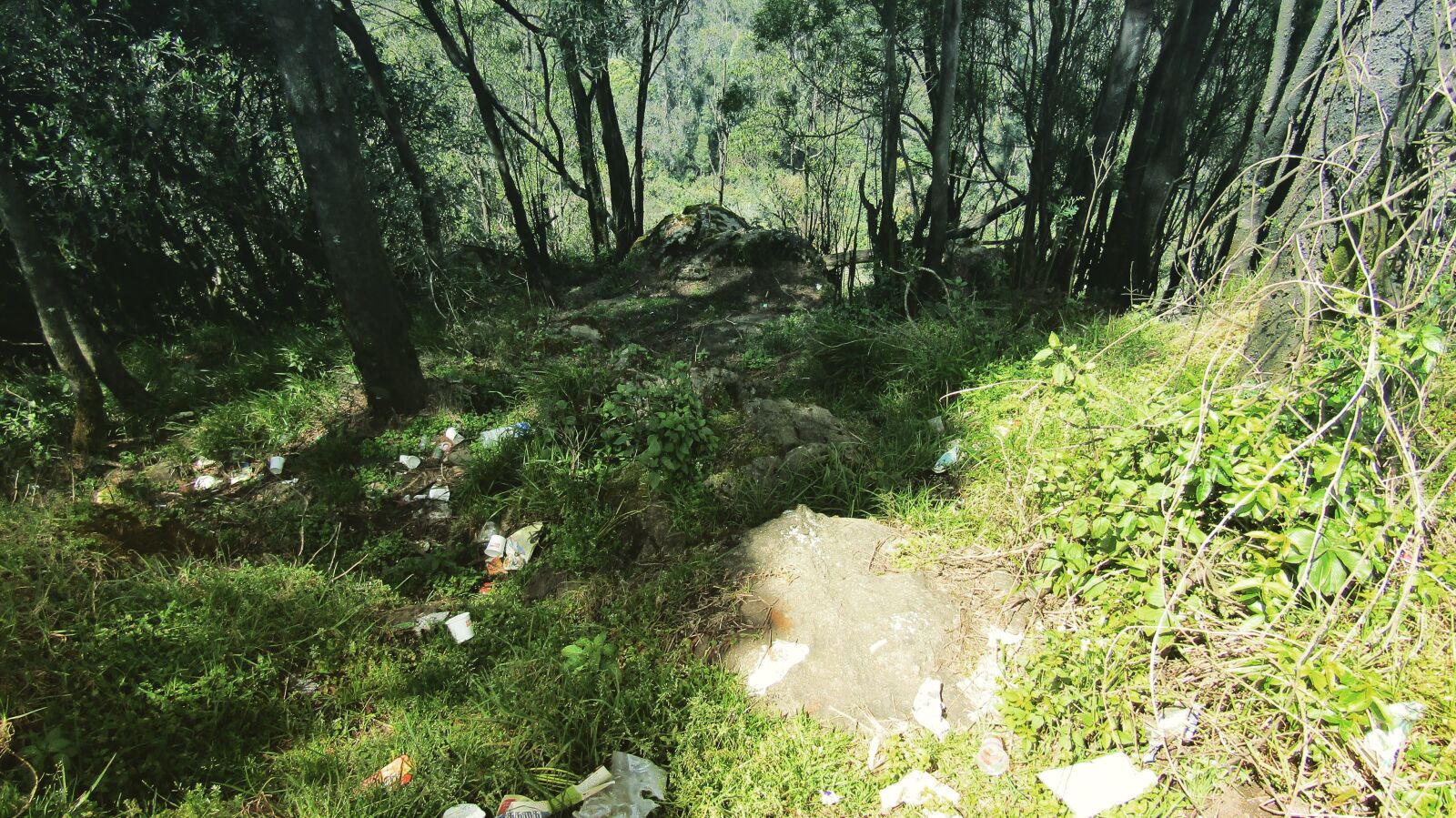 Canon PowerShot SX410 IS sample photo. Ooty photography