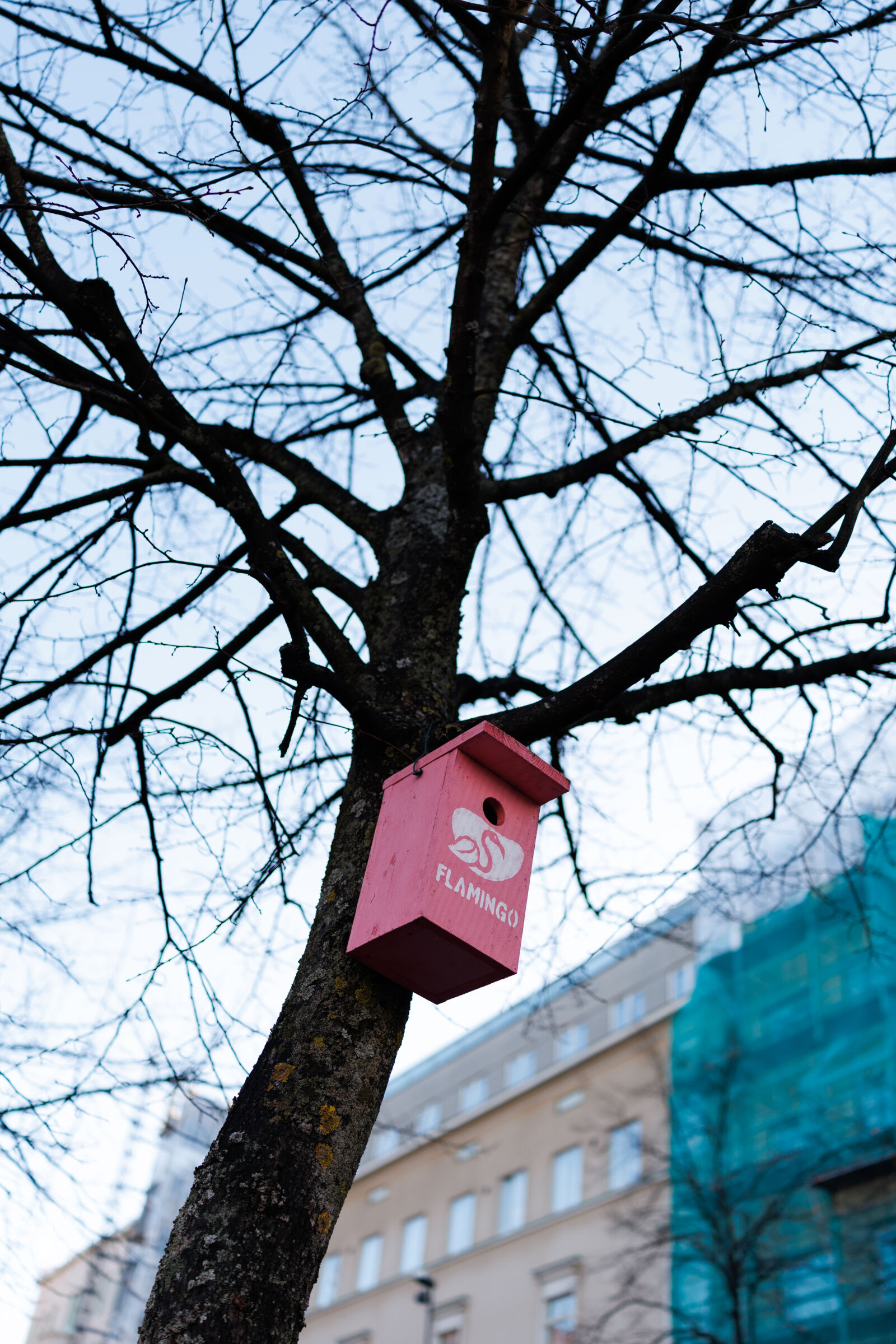 Canon RF 35mm F1.4 L VCM sample photo. The pink birdhouse photography