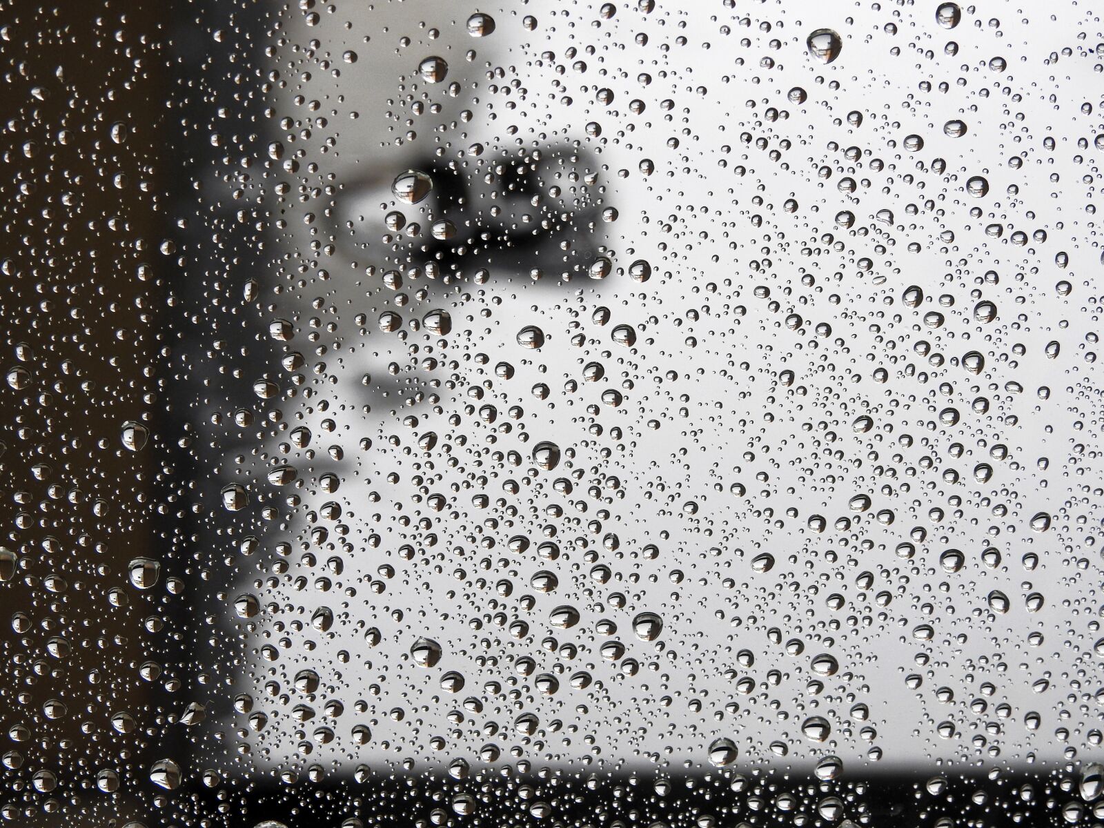 Nikon Coolpix P900 sample photo. Rain, wet, pearl photography