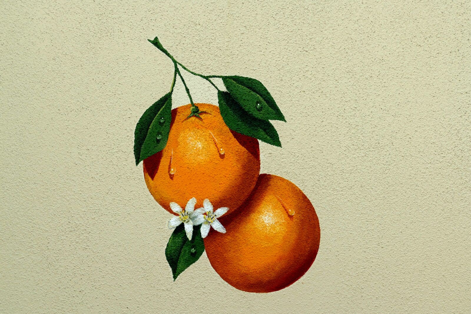 Panasonic Lumix DMC-FZ1000 sample photo. Oranges, fruit, painting photography