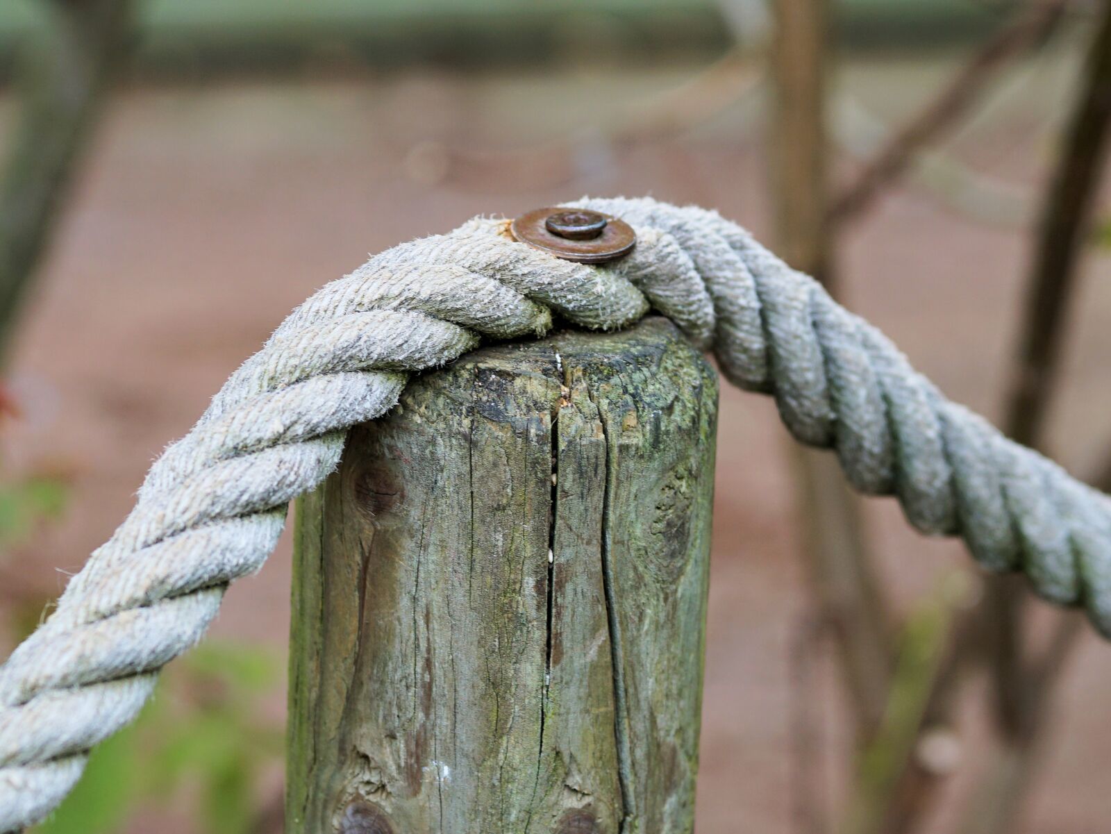 Sony a6000 + E 60mm F2.8 sample photo. Rope, demarcation, pile photography