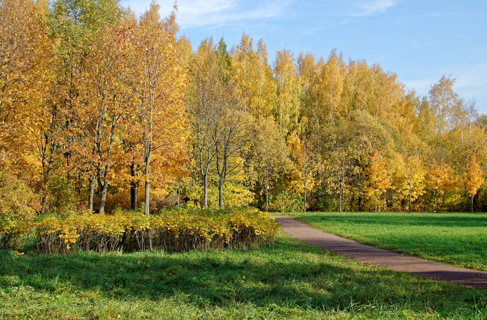 Nikon D5100 sample photo. Autumn, landscape, trees photography