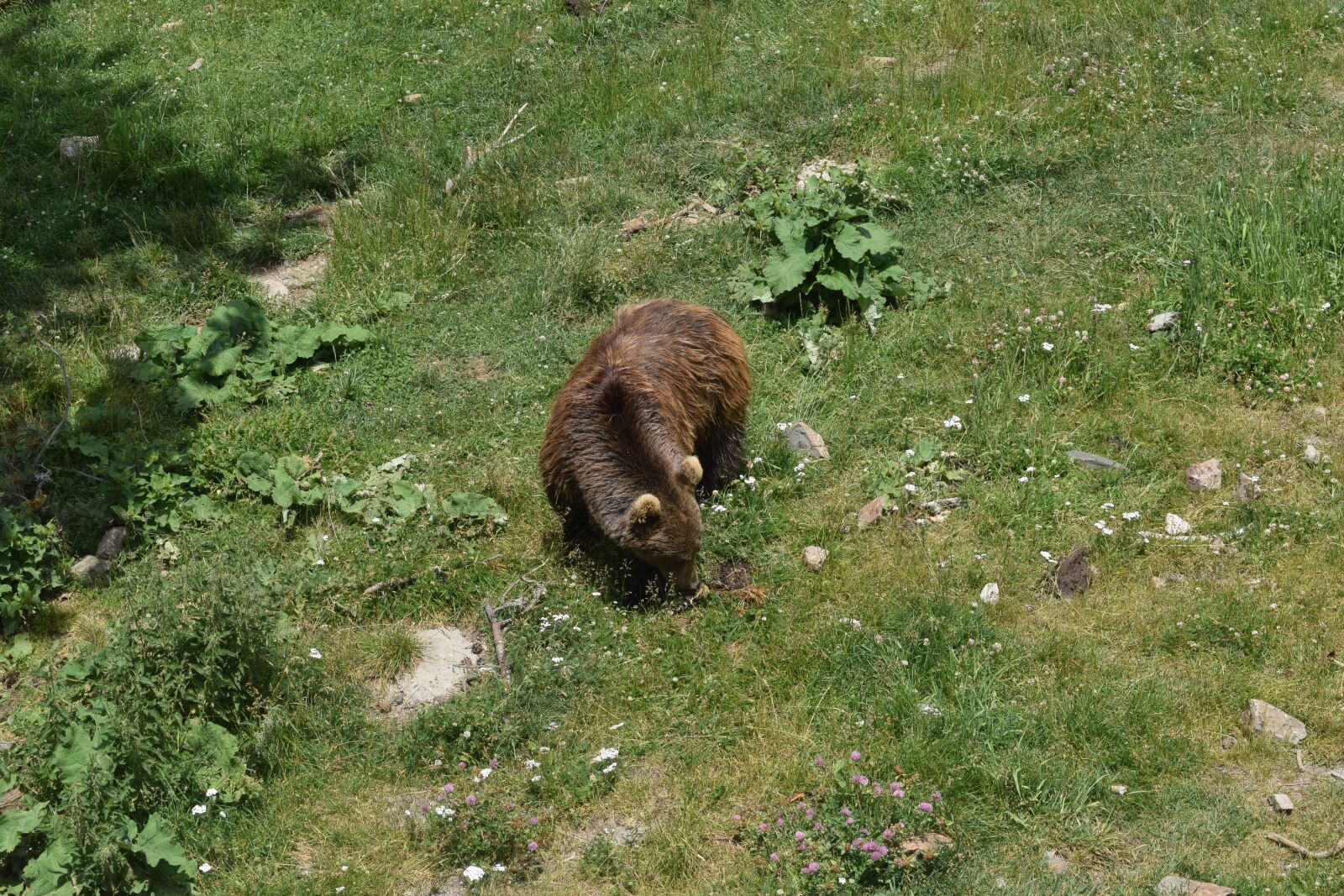Nikon D5300 sample photo. Adventure, andorra, naturlandia photography