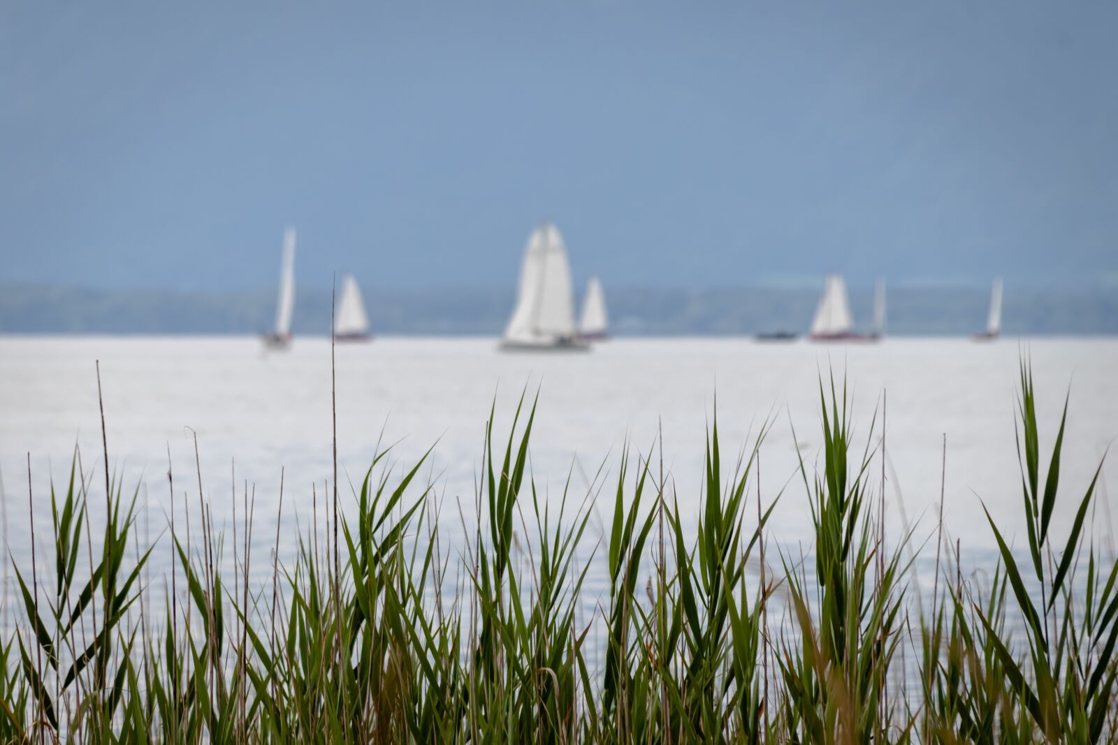 Canon EOS 80D sample photo. Sailing boats, tour, sail photography