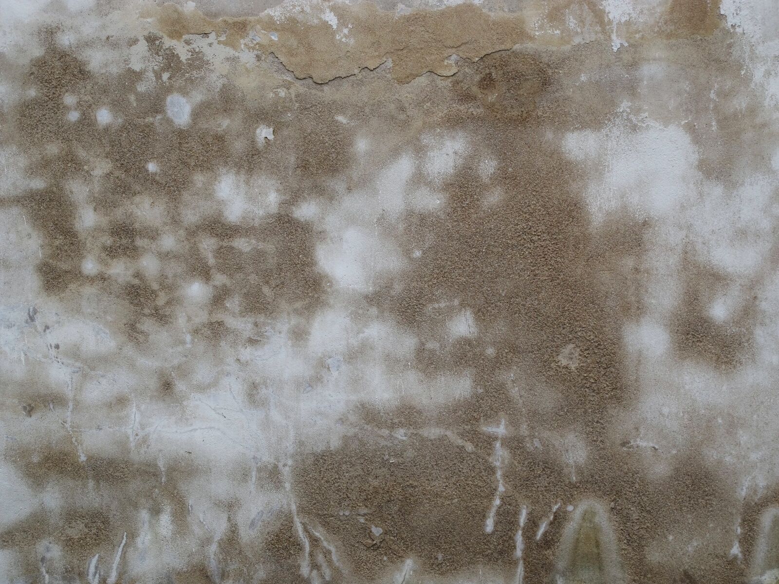 Canon PowerShot G12 sample photo. Texture, wall, grunge photography