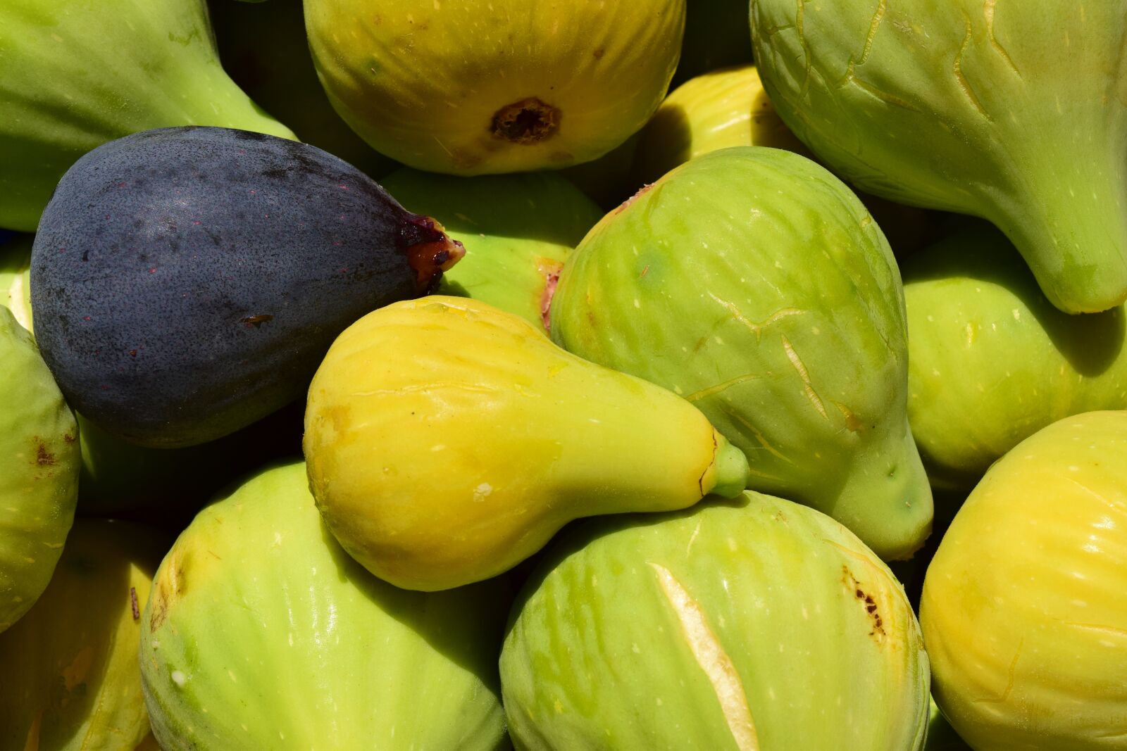 Nikon D3300 sample photo. Figs, fresh, fresh figs photography