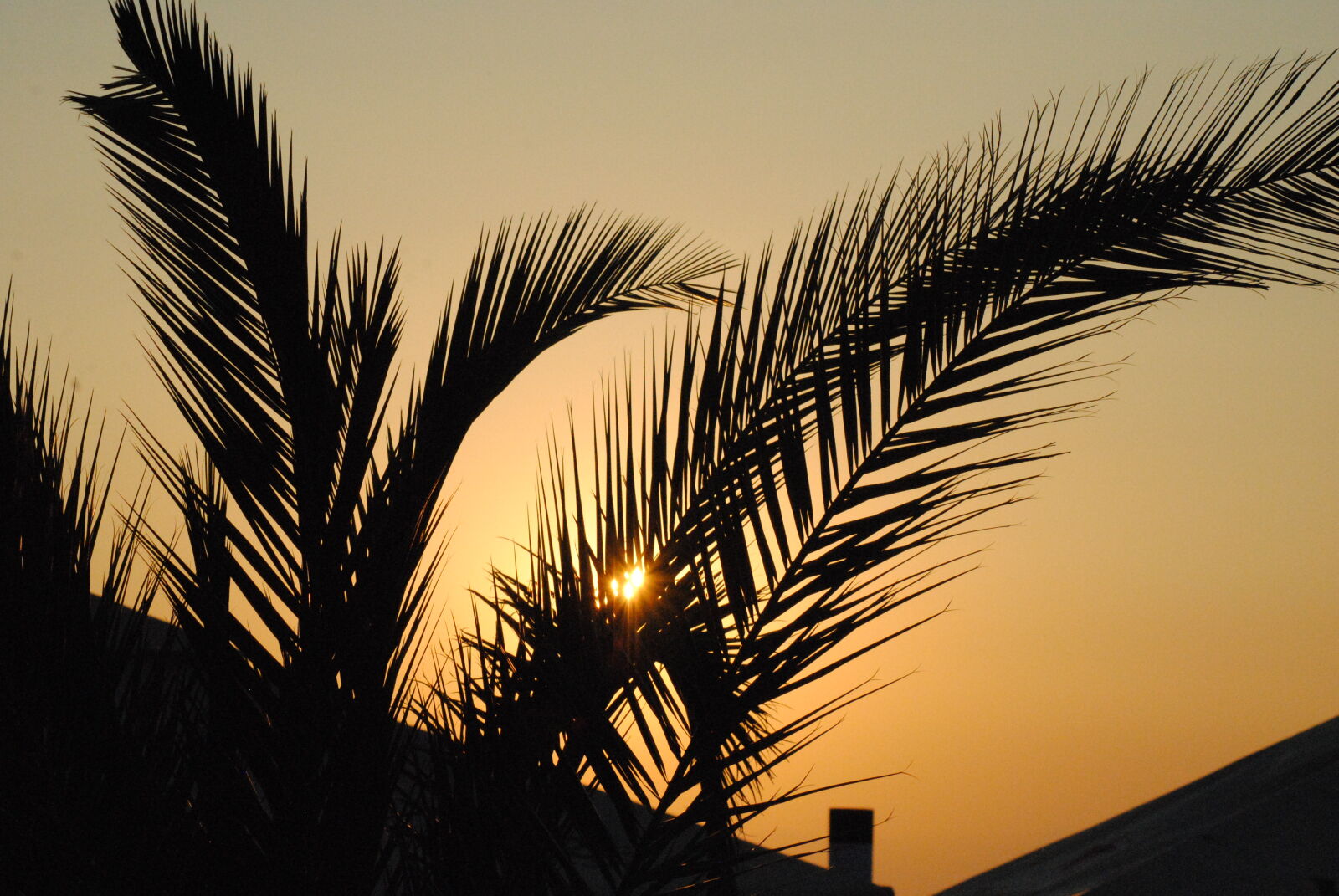 Nikon D3000 sample photo