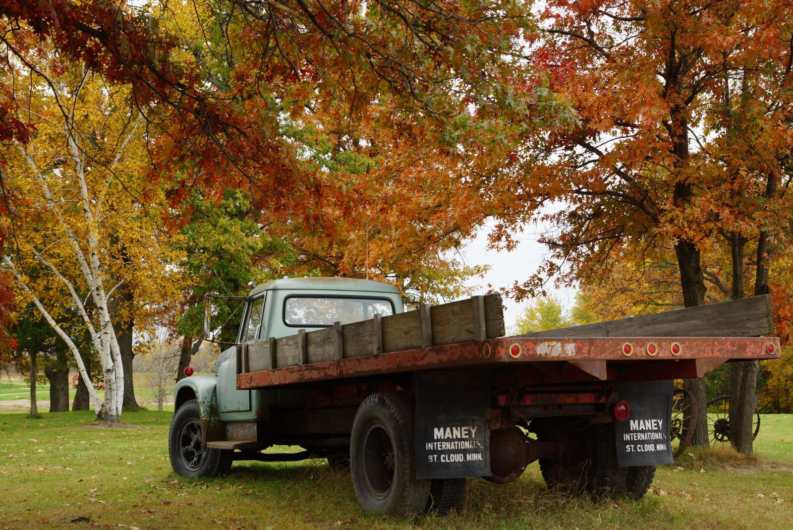 Sony SLT-A77 + Sony DT 16-50mm F2.8 SSM sample photo. Thanksgiving, autumn, fall photography