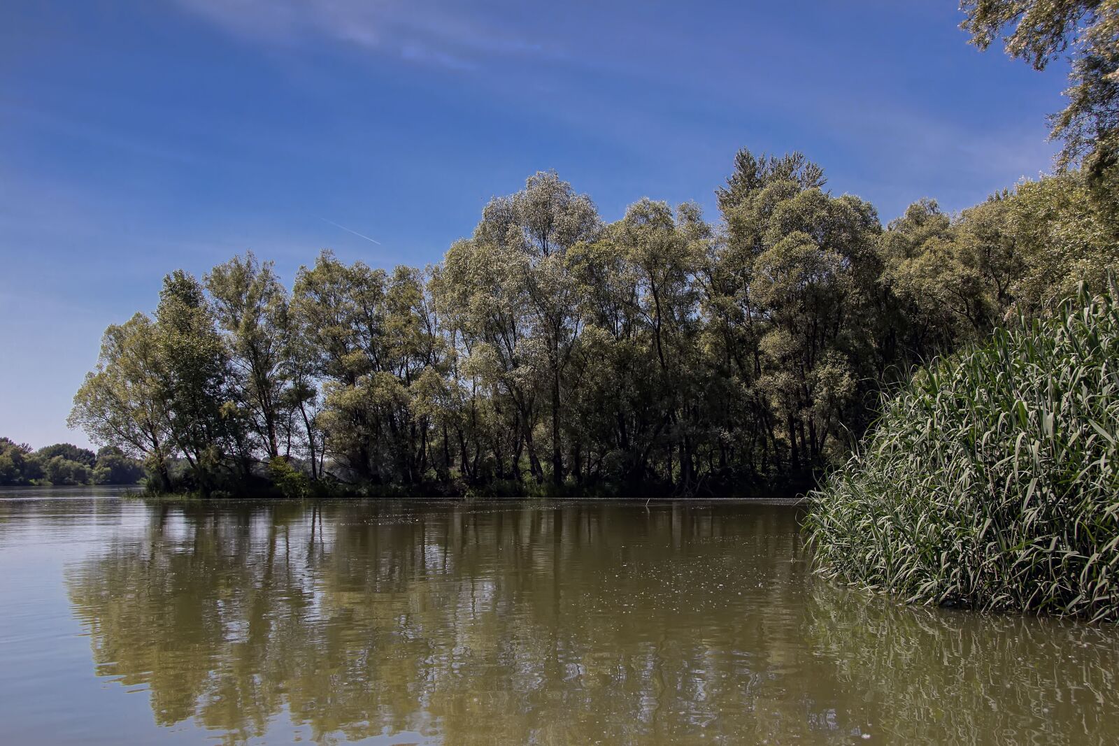 Canon EOS 600D (Rebel EOS T3i / EOS Kiss X5) sample photo. Danube, slovakia, nature photography