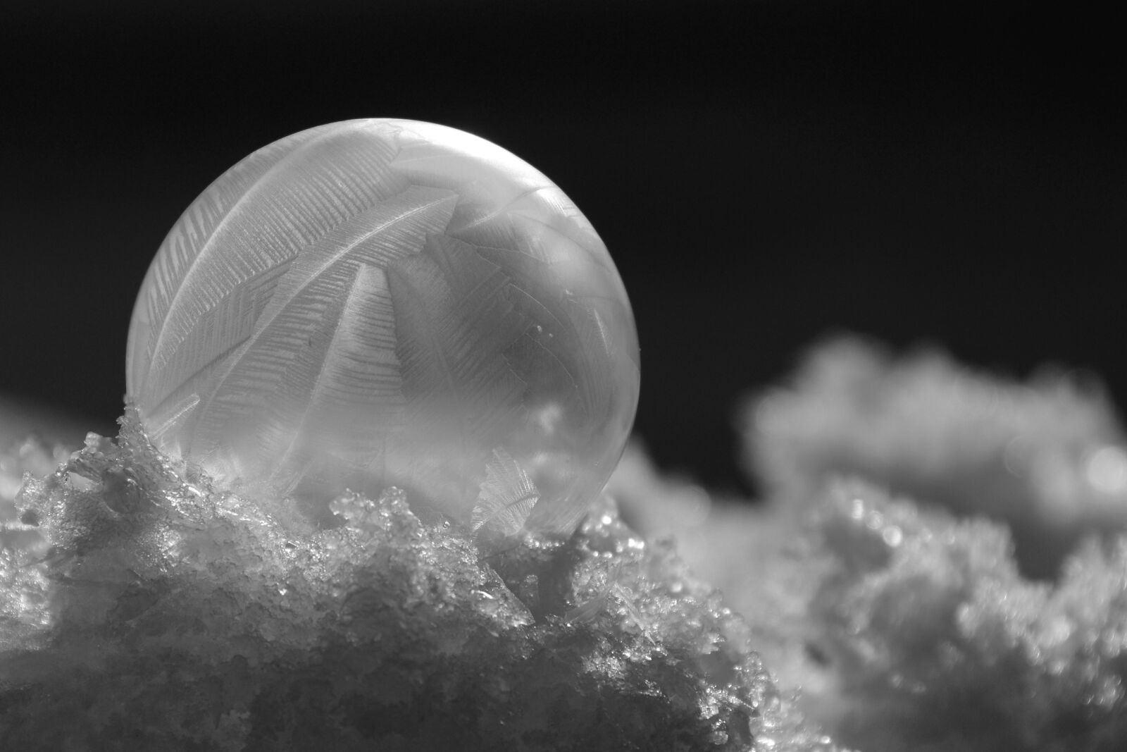 Nikon D7100 sample photo. Soap bubble, freezer, winter photography