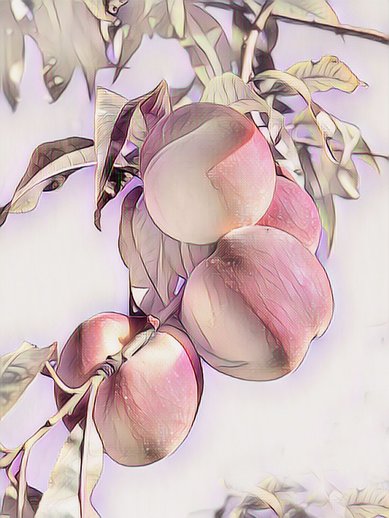 Canon PowerShot G15 sample photo. Peach, digital painting, pastel photography
