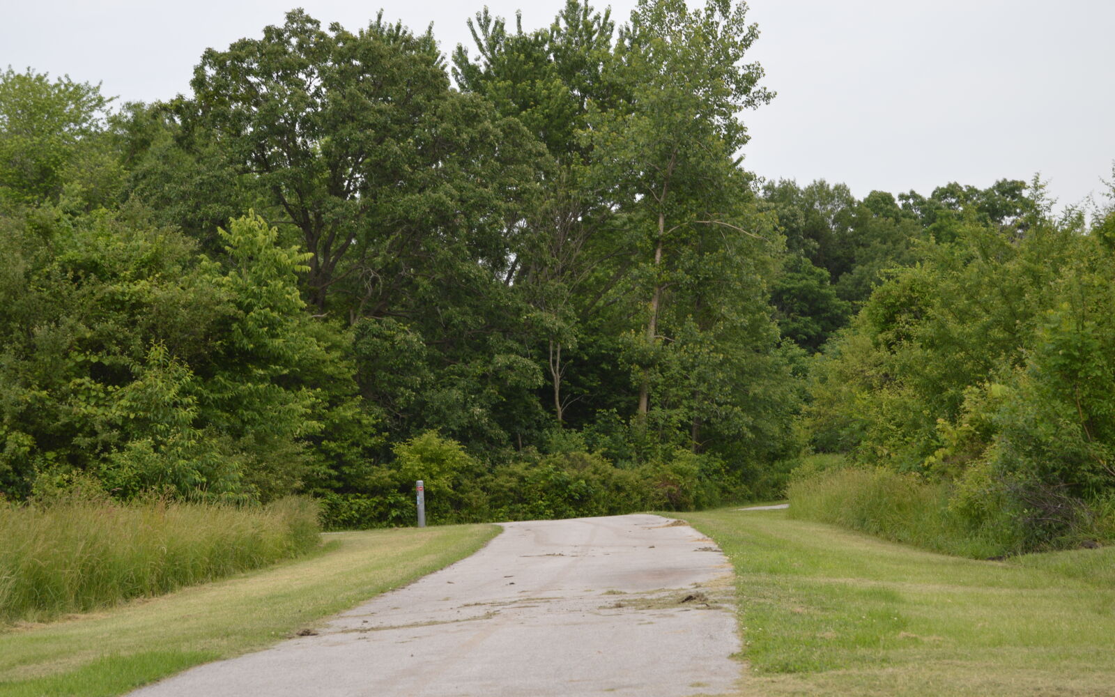 Nikon D3200 sample photo